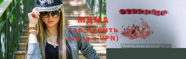 индика Белокуриха