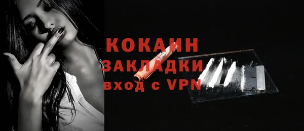 индика Белокуриха