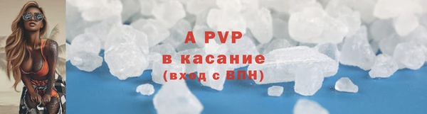 индика Белокуриха