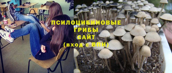 индика Белокуриха