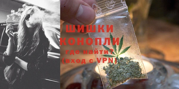 индика Белокуриха