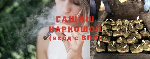 индика Белокуриха