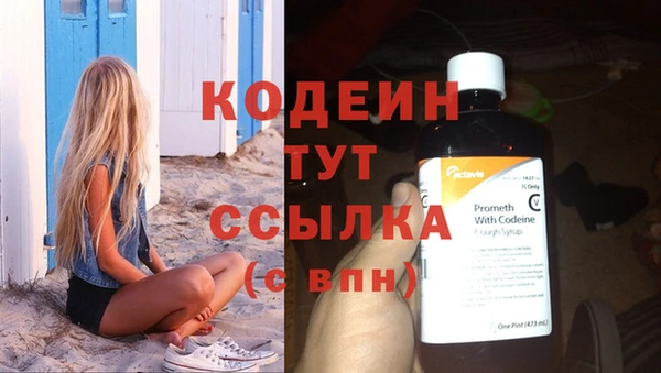 индика Белокуриха