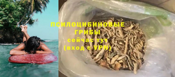 индика Белокуриха
