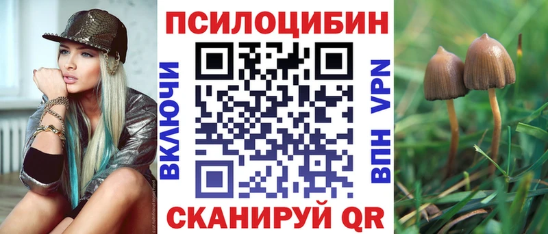 Галлюциногенные грибы MAGIC MUSHROOMS  наркота  Кочубеевское 